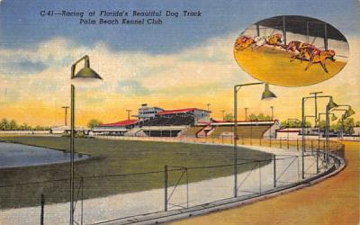 Racing at Florida's Beautiful Dog Track Postcard