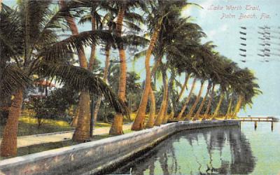 Lake Worth Trail Palm Beach, Florida Postcard