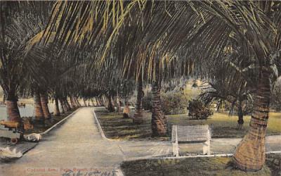 Coconut Ave. Palm Beach, Florida Postcard