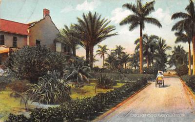 Clark's Trail, Road to Jungle Palm Beach, Florida Postcard