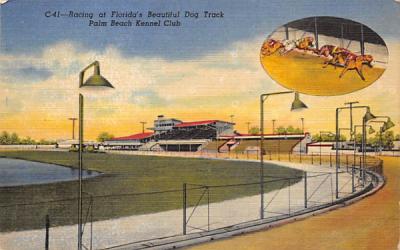 Racing at Florida's Beautiful Dog Track Postcard