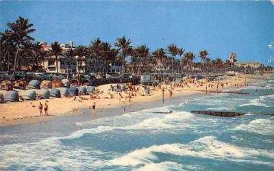 Tropical Florida's First Resort Postcard