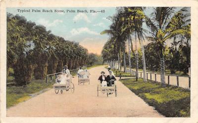 Typical Palm Beach Scene Florida Postcard
