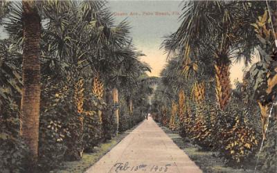 Ocean Ave. Palm Beach, Florida Postcard