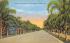 North County Road Palm Beach, Florida Postcard