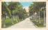 North Lake Trail, Bradley's Club Palm Beach, Florida Postcard