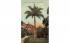 Royal Palm, Garden of Eden Palm Beach, Florida Postcard