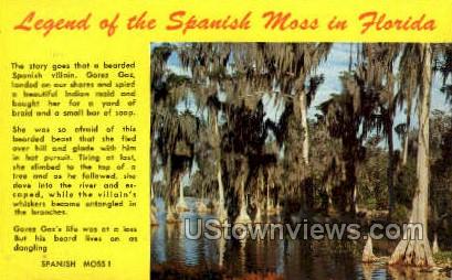 Spanish Moss - Misc, Florida FL Postcard Spanish Moss - Misc, Florida ...