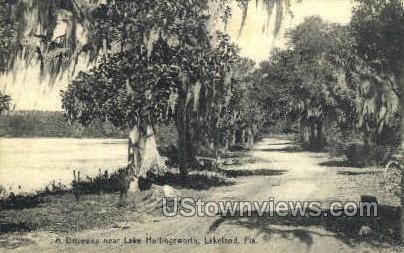 Lake Hollingsworth - Lakeland, Florida FL Postcard