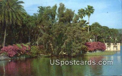 Lake Concord - Orlando, Florida FL Postcard