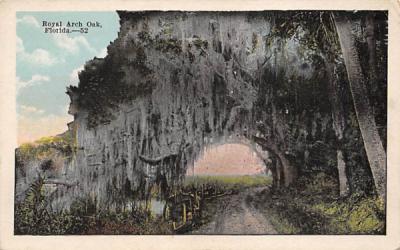 Royal Arch Oak Florida Postcard