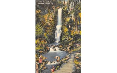 Scenic Falls Rainbow Springs, Florida Postcard