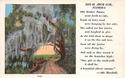 Royal Arch Oak Florida Postcard