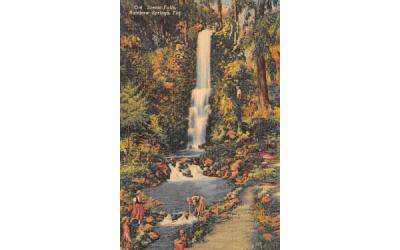 Scenic Falls Rainbow Springs, Florida Postcard