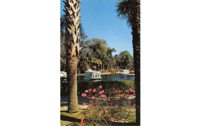 Florida's Silver Springs Postcard