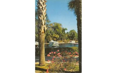 Florida's Silver Springs, USA Postcard