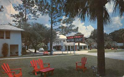 Silver Springs Motor Court Florida Postcard