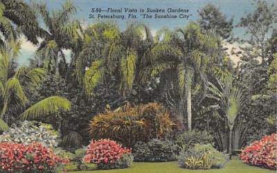 Floral Vista in Sunken Gardens St Petersburg, Florida Postcard