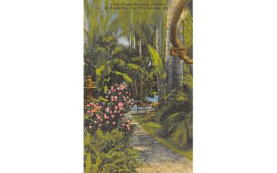 Tropical Sunken Gardens St Petersburg, Florida Postcard