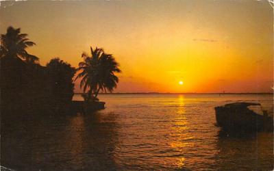 Flordia Sunset Florida Postcard