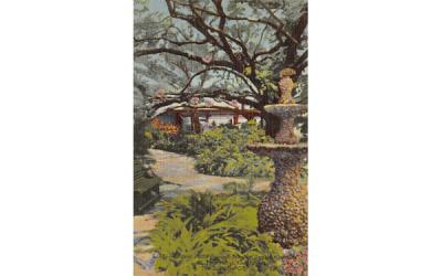 Winding Paths through Tropical Sunken Gardens St Petersburg, Florida Postcard
