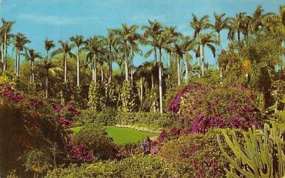 Florida's Sunken Garden Postcard