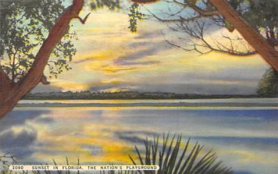 Sunset in Florida, The Nation's Playground Postcard