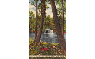 Glass Bottomed Boat over Florida's Silver Springs Postcard