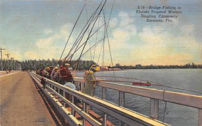 Bridge - Fishing in Florida Tropical Waters Postcard