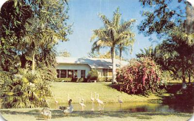 Sarasota Jungle Gardens Florida Postcard