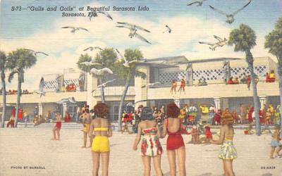 Gulls and Goils at Beautiful Sarasota Lido Florida Postcard