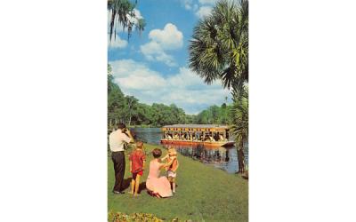Glass Bottom Boats Florida's Family Attraction Postcard