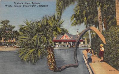 World Famed Underwater Fairyland Silver Springs, Florida Postcard