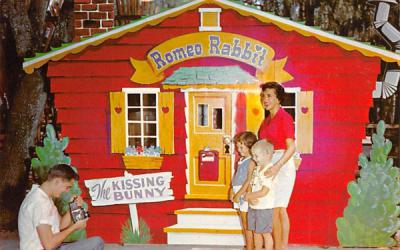 Romeo - The Kissing Bunny Silver Springs, Florida Postcard