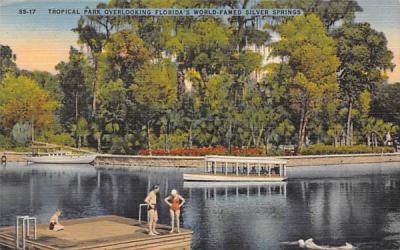 Florida's World-Famed Silver Springs Postcard