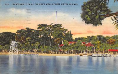Florida's World-Famed Silver Springs, USA Postcard