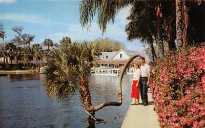Outstanding Florida Attraction Postcard