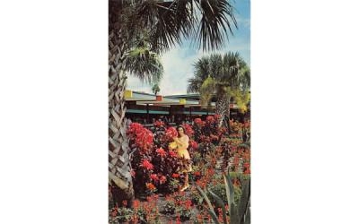 Famous Glass Bottom Boats Admiring Flowers Silver Springs, Florida Postcard