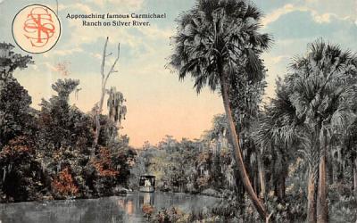 Approaching famous Carmichael Ranch Silver Springs, Florida Postcard