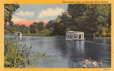Glass Bottom Boats on Beautiful Silver Springs Florida Postcard