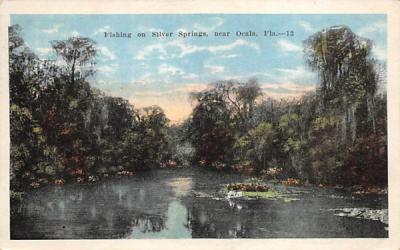 Fishing on Silver Springs Florida Postcard