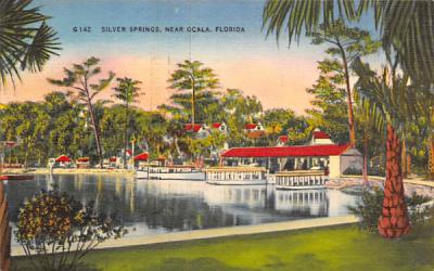 Silver Springs Florida Postcard
