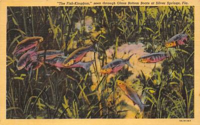 The Fish-Kingdom, seen through Glass Bottom Boats Silver Springs, Florida Postcard