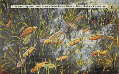 The Fish-Kingdom, seen through Glass Bottom Boats Silver Springs, Florida Postcard