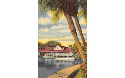 Front View of Beautiful Silver Springs, FL, USA Florida Postcard