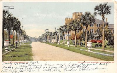 Avenue Seabreeze, Florida Postcard