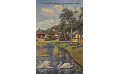 Round Lake St Petersburg, Florida Postcard