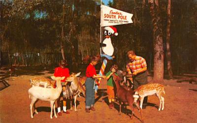 Santa's South Pole at Tommy Bartlett's Deer Ranch Silver Springs, Florida Postcard