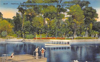 Overlooking Florida's World-Famed Silver Springs, USA Postcard