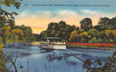 Jungle Cruise Boats Cruising Silver River Silver Springs, Florida Postcard